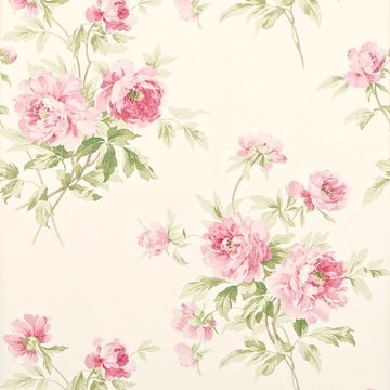 Sanderson Wallpaper Adele Rose/Cream DCAVAD101