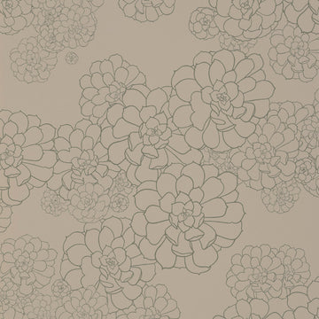 Paint & Paper Library Wallpaper Aeonium Cotton