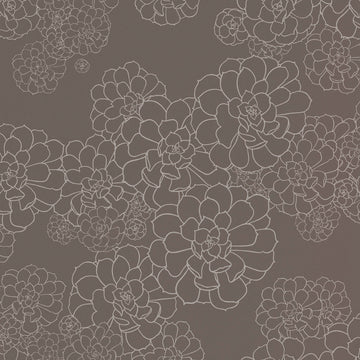 Paint & Paper Library Wallpaper Aeonium Momentum