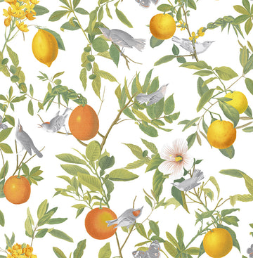 Graham & Brown Wallpaper Amalfi Fresco 105641