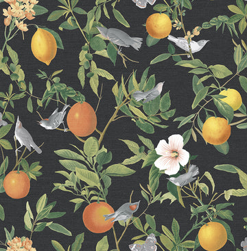 Graham & Brown Wallpaper Amalfi Umore 105642