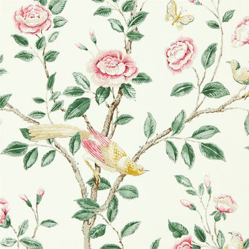 Sanderson Wallpaper Andhara Rose/Cream 216795