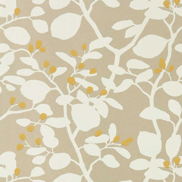 Harlequin Wallpaper Ardisia Soft Focus / Oyster / Gold 112773