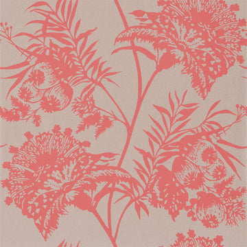 Harlequin Wallpaper Bavero Coral 111766