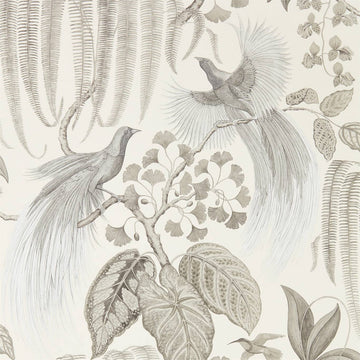 Sanderson Wallpaper Bird of Paradise Linen 216652