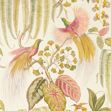 Sanderson Wallpaper Bird of Paradise Olive 216653
