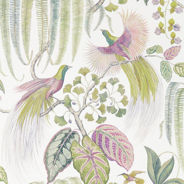 Sanderson Wallpaper Bird of Paradise Orchid 216654