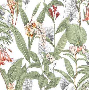 Graham & Brown Wallpaper Botanical Powder 103797