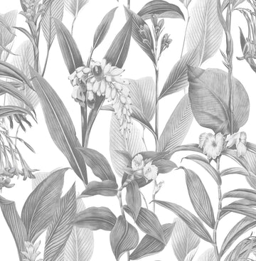 Graham & Brown Wallpaper Botanical Shadow 103801