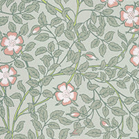 Little Greene Wallpaper Briar Rose Salix