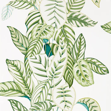 Sanderson Wallpaper Calathea Botanical Green 216630