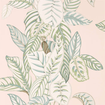 Sanderson Wallpaper Calathea Orchid/Eucalyptus 216632