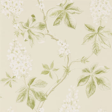 Sanderson Wallpaper Chestnut Tree Lemon/Lettuce 215707