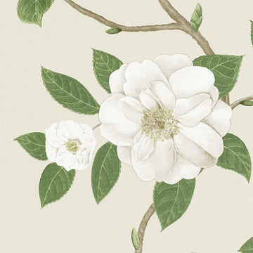 Sanderson Wallpaper Christabel Ivory/Cream 213380