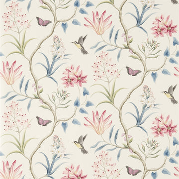 Sanderson Wallpaper Clementine Indienne 213387