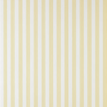 Farrow & Ball Wallpaper Closet Stripe BP 356