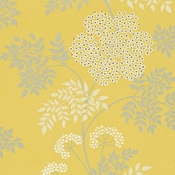 Sanderson Wallpaper Cowparsley Chinese Yellow DOPWCO105