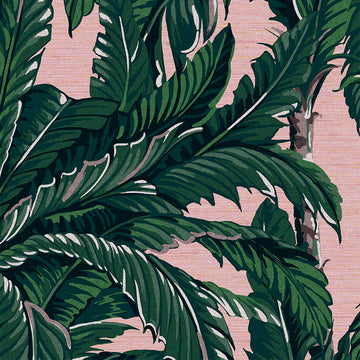 Graham & Brown Wallpaper Daintree Palm Blush 112018