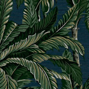 Graham & Brown Wallpaper Daintree Palm Midnight 112017