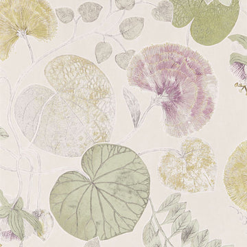 Harlequin Wallpaper Dardanella Linden / Heather 111259