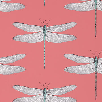 Harlequin Wallpaper Demoiselle Coral / Mint 111245