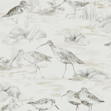 Sanderson Wallpaper Estuary Birds Chalk/Sepia 216493