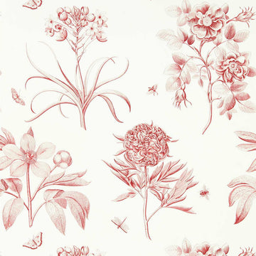 Sanderson Wallpaper Etchings & Roses Amanpuri Red 217054