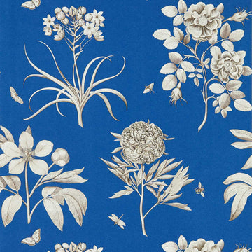 Sanderson Wallpaper Etchings & Roses French Blue 217053