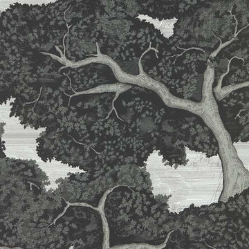 Harlequin Wallpaper Eternal Oak Ebony / First Light 113040