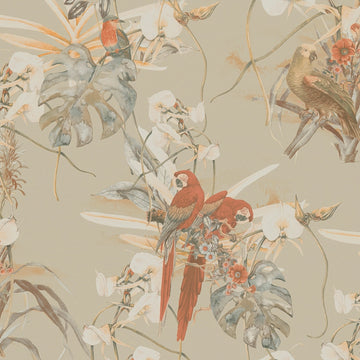Galerie Wallpaper Exotic Parrot BW51027