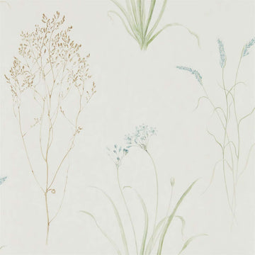 Sanderson Wallpaper Farne Grasses Cream/Sage 216486