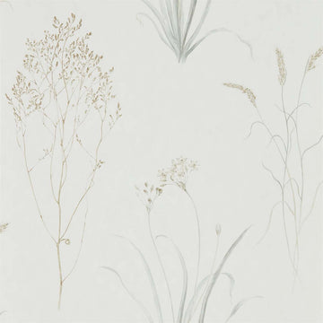 Sanderson Wallpaper Farne Grasses Silver/Ivory 216487