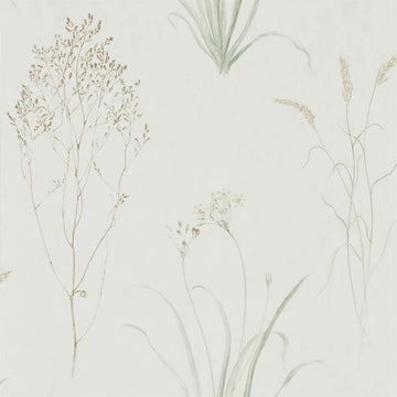 Sanderson Wallpaper Farne Grasses Willow/Pebble 216488