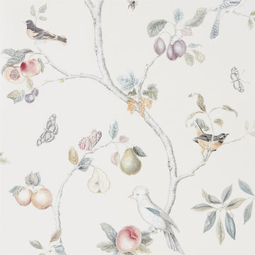 Sanderson Wallpaper Fruit Aviary Cream/Multi 216314