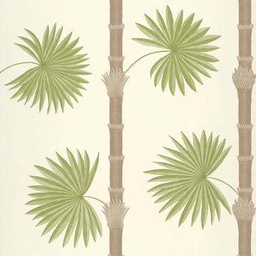 Paint & Paper Library Wallpaper Hardy Palm Sand III