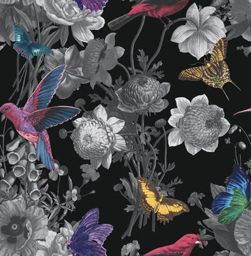 Graham & Brown Wallpaper Jardin Black 106431