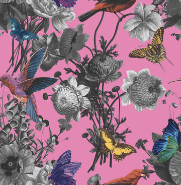 Graham & Brown Wallpaper Jardin Magenta 106429