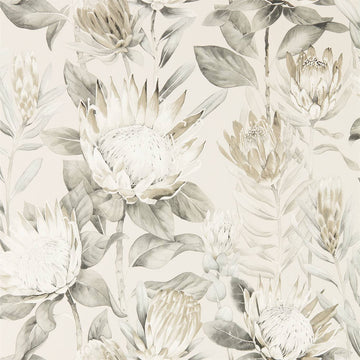 Sanderson Wallpaper King Protea Linen/Mica 216647