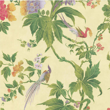 Little Greene Wallpaper Paradise Sunrise