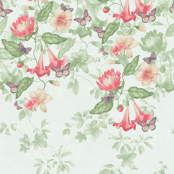 Little Greene Wallpaper Asterid Mint