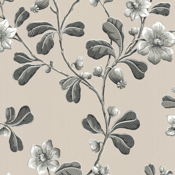 Little Greene Wallpaper Broadwick Street Mono