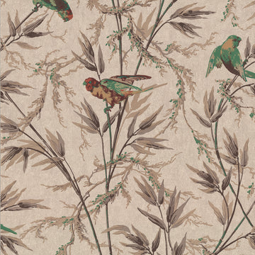 Little Greene Wallpaper Great Ormond Street Cappucino