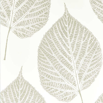 Harlequin Wallpaper Leaf Chalk / Silver 112609