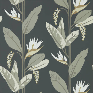 Harlequin Wallpaper Llenya Jet / Stone / Gold 112256