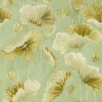 Sanderson Wallpaper Lotus Leaf Oriental Green/Olive 217126