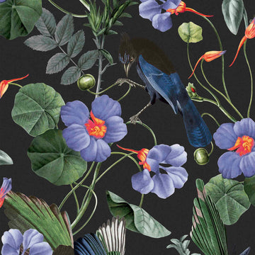 Graham & Brown Wallpaper Magpie 112192