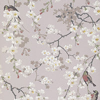 Little Greene Wallpaper Massingberd Blossom Grey
