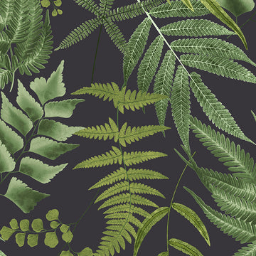 Graham & Brown Wallpaper Midsummer Fern Black 107879