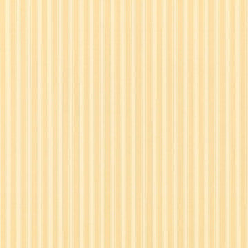 Sanderson Wallpaper New Tiger Stripe Honey/Cream DCAVTP104