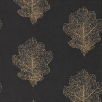 Sanderson Wallpaper Oak Filigree Charcoal/Bronze 215700
